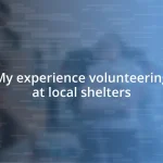 My experience volunteering at local shelters