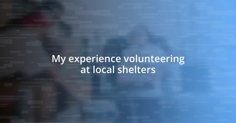 My experience volunteering at local shelters