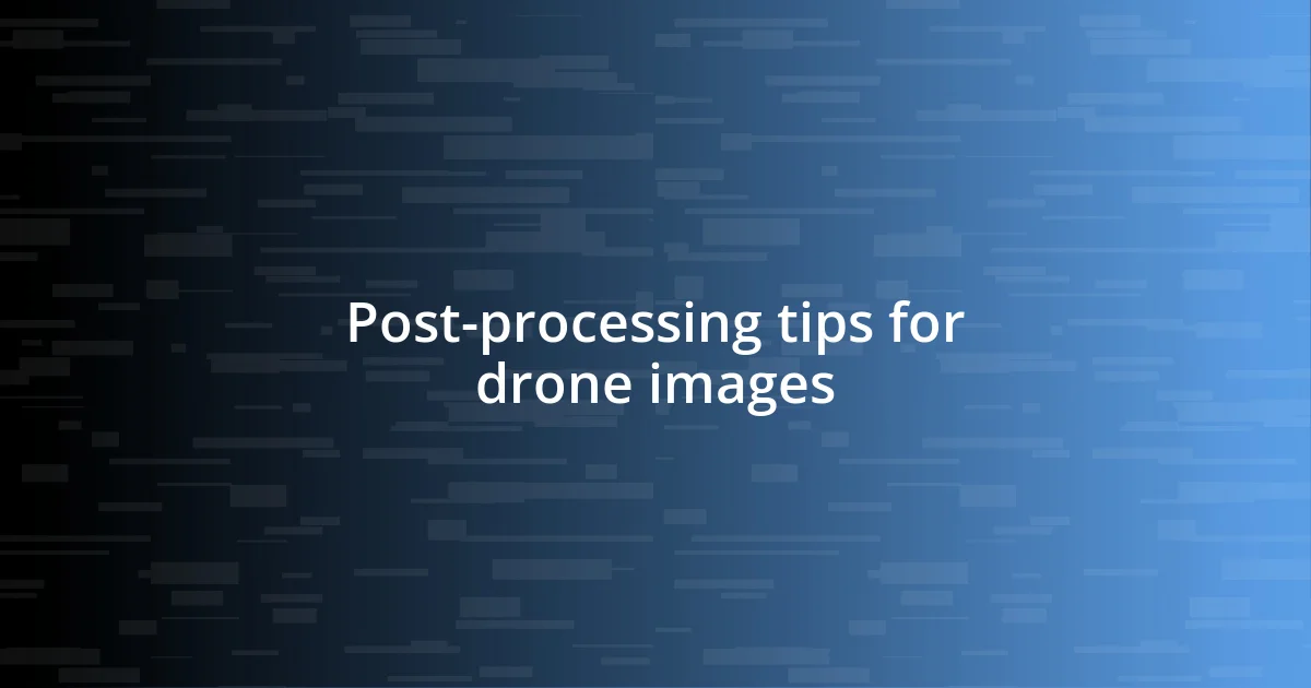 Post-processing tips for drone images